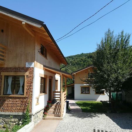 Guest House Carpathia Viseu de Sus Exterior photo