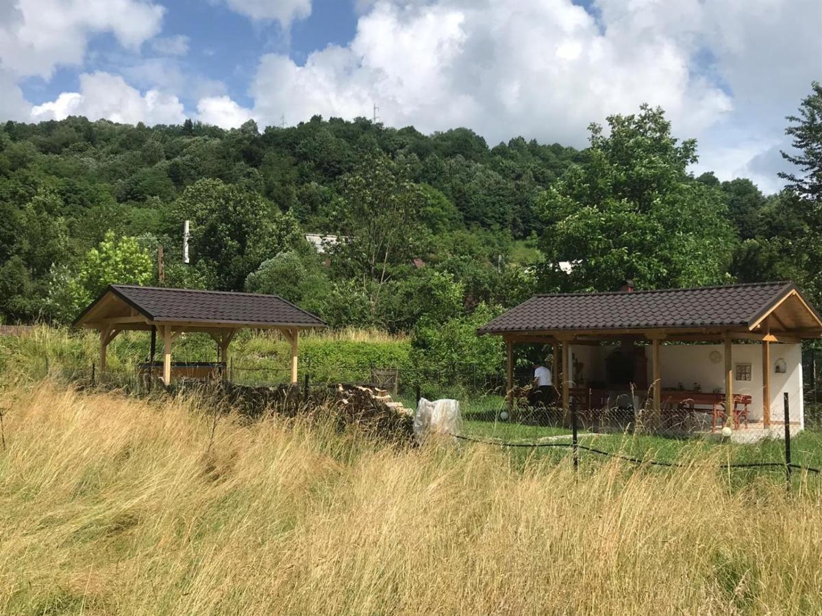 Guest House Carpathia Viseu de Sus Exterior photo