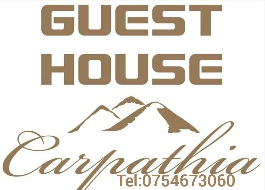 Guest House Carpathia Viseu de Sus Exterior photo