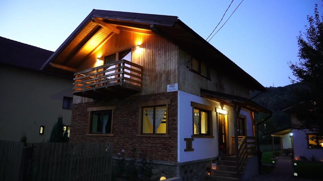 Guest House Carpathia Viseu de Sus Exterior photo