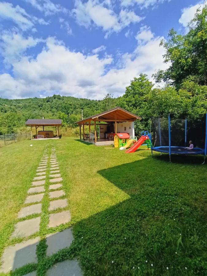 Guest House Carpathia Viseu de Sus Exterior photo