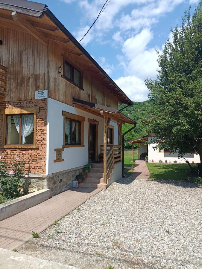 Guest House Carpathia Viseu de Sus Exterior photo