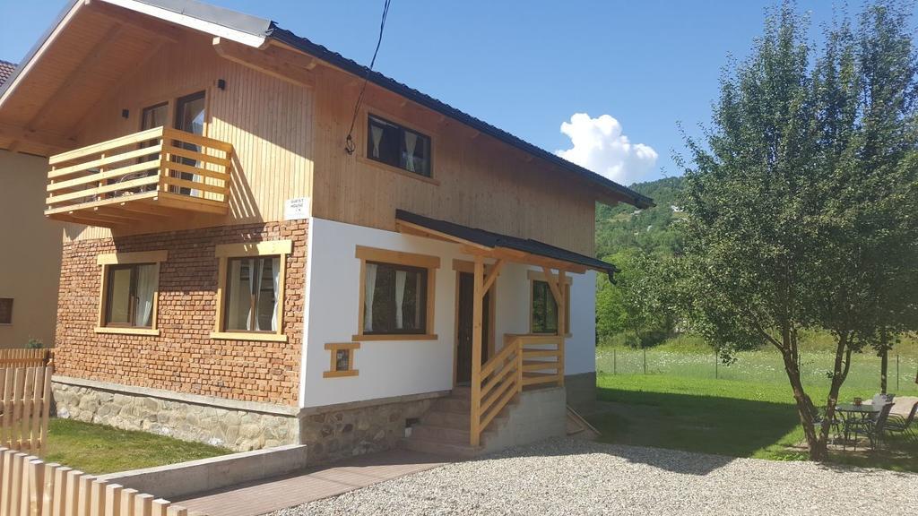 Guest House Carpathia Viseu de Sus Exterior photo