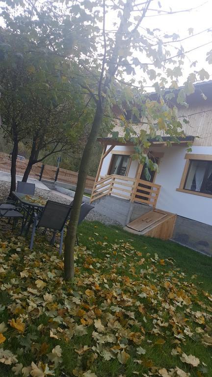 Guest House Carpathia Viseu de Sus Exterior photo