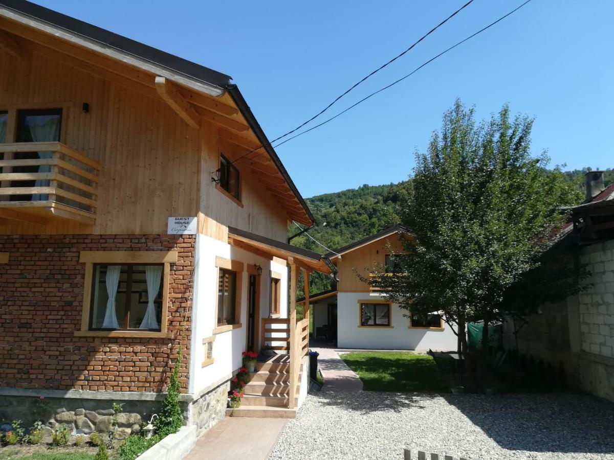 Guest House Carpathia Viseu de Sus Exterior photo