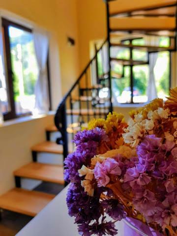 Guest House Carpathia Viseu de Sus Exterior photo